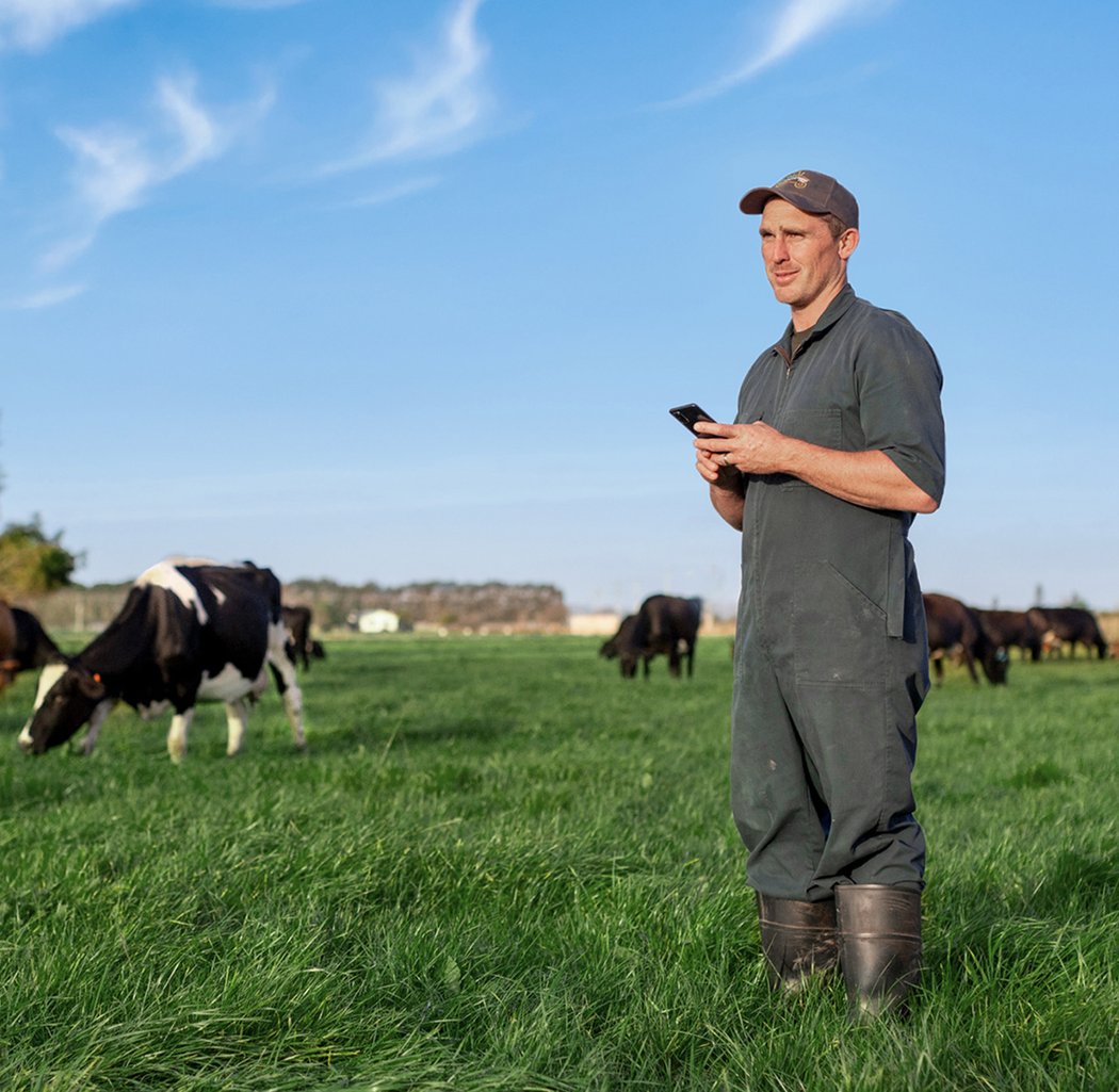 Farmer-Waikato Dairy-1-Square-NZ