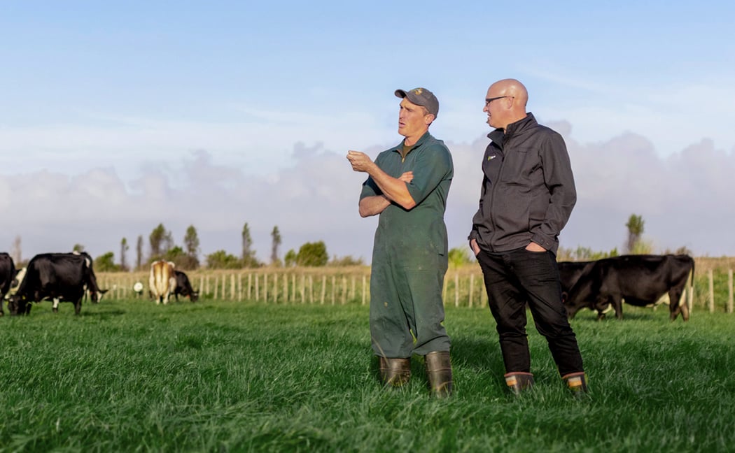 A dairy farmer and his adviser talking in a paddock, the herd grazing around them