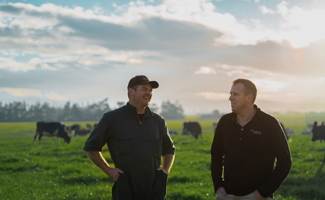 dairy-farmer-adviser-sunset-southland-nz