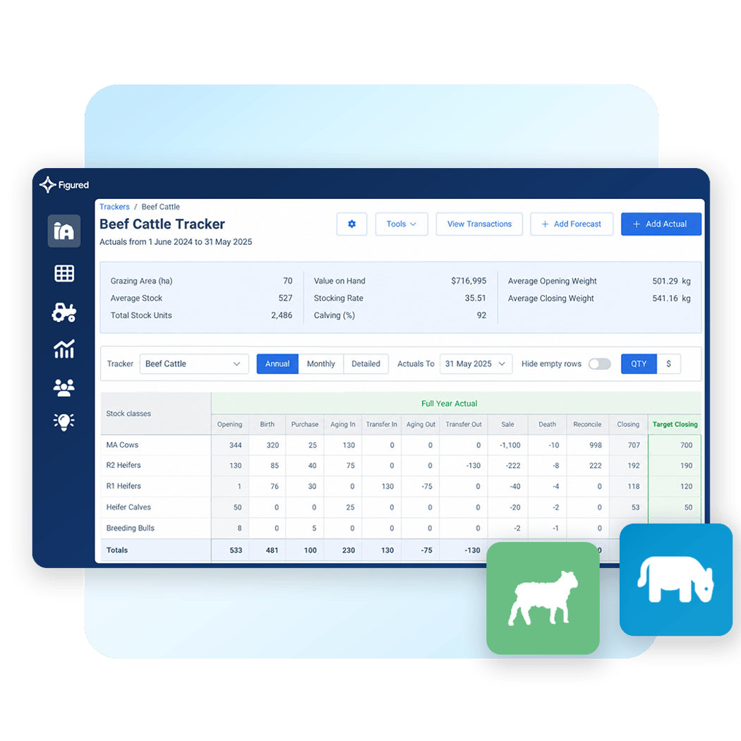 fm-product-image-square-production-sheep-beef